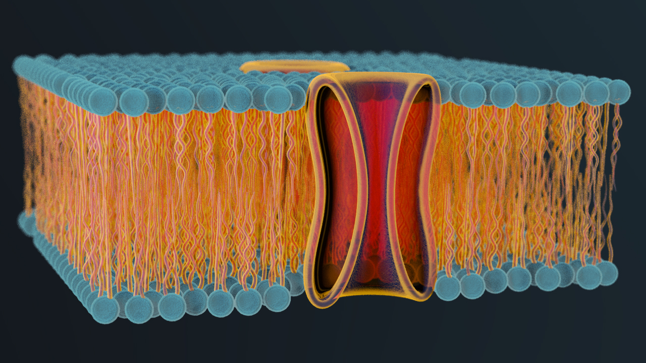 Neuroprostanes